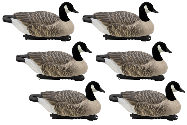 Last Pass Canada Goose Floating Decoys with Flocked Heads Final Approach Waterfowl FA Brand Canada