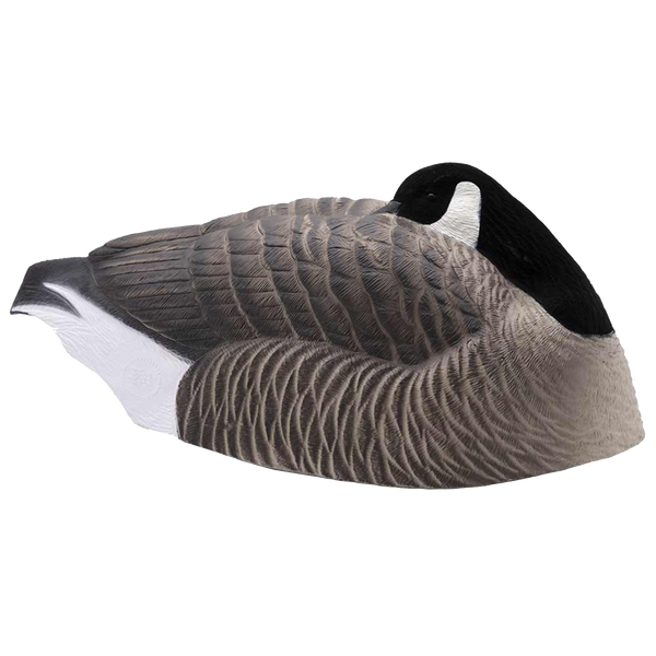 Last Pass Honker Sleeper Shells 12 Pack Goose Hunting Decoys Final Approach Waterfowl FA Brand Canada