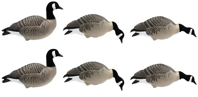 HD Full Body Lesser Canada Geese, 6 Pack