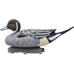 Last Pass Floating Pintail Decoys - 12 Pack