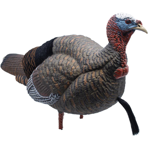 LIVE JAKE TURKEY DECOY WITH FLOCKED BACK - FA Brand Canada