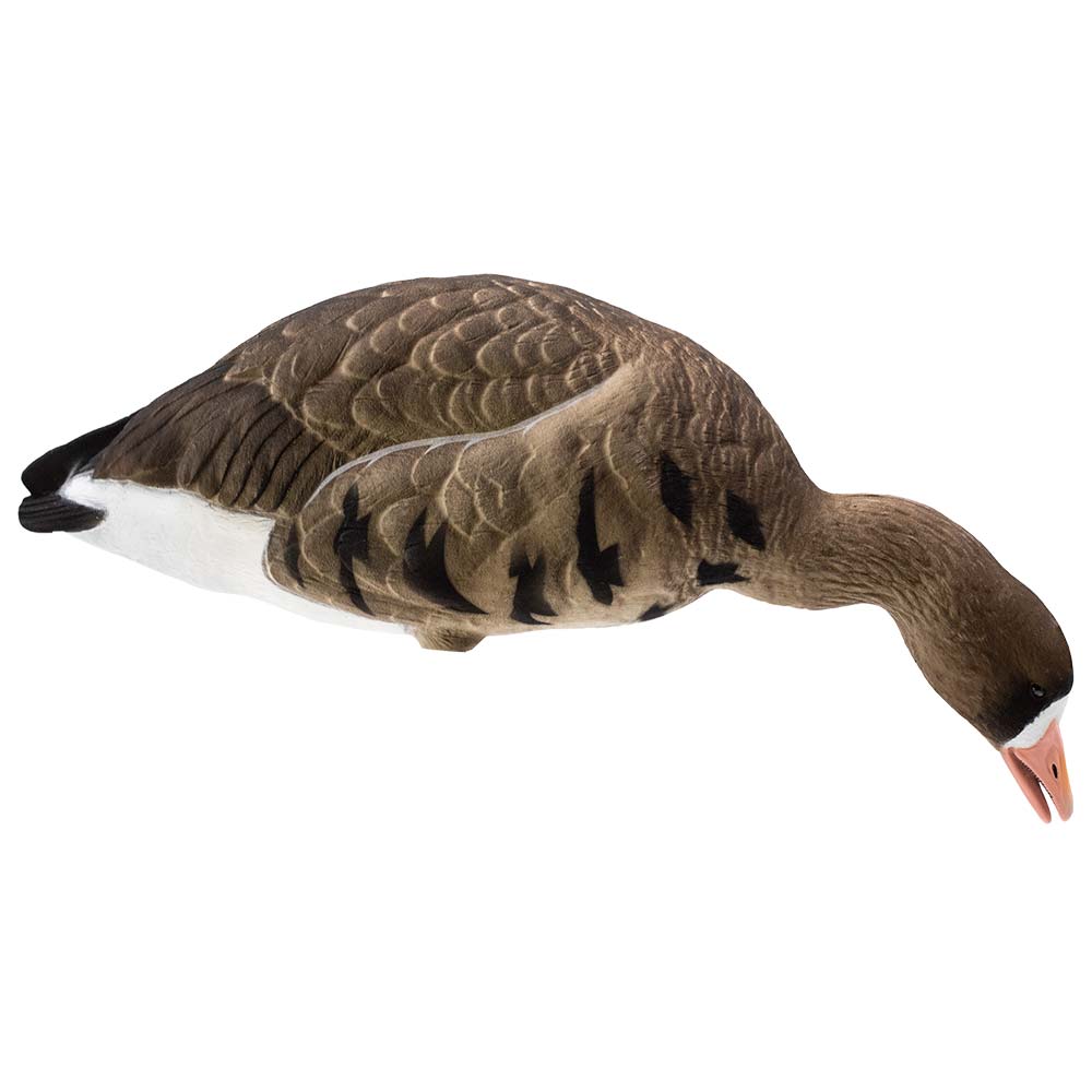 Live Series Full Body Fully Flocked Specklebelly - Goose Hunting Decoys ...