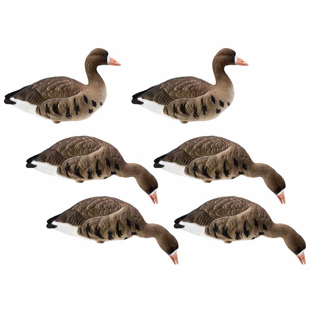 Live Series Full Body Fully Flocked Specklebelly - Goose Hunting Decoys ...