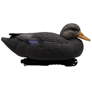 Live Black Duck Floaters - 6 Pack