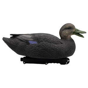 Live Black Duck Floaters - 6 Pack