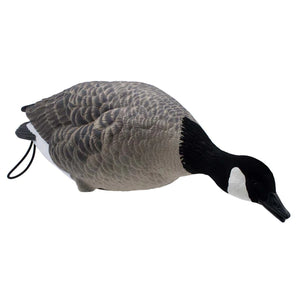 LIVE FULL BODY LESSER CANADA GEESE - 6 PACK