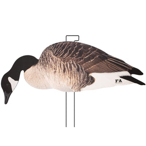 Last Pass Canada Goose Silhouettes – Gen 4